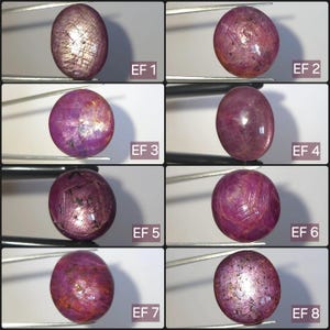 Könnte beinhalten: Eine Sammlung von acht ovalen und runden Cabochon-Rubinen, die von Metallpinzetten gehalten werden. Jeder Edelstein zeigt einen tiefrosa bis roten Farbton mit sichtbaren Einschlüssen und natürlichen Sternmustern. Beschriftet mit EF 1 bis EF 8.