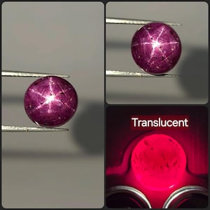Pode incluir: Uma pedra preciosa de rubi estrela redonda, de cor magenta profunda, com um efeito de asterismo de seis raios visível. A pedra apresenta inclusões internas e é segurada por pinças metálicas. Uma vista mostra a pedra retroiluminada, rotulada como Translucent.