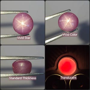 Pode incluir: Uma gema de safira estrela rosa, redonda, segurada por pinças de metal, exibindo um efeito de estrela de seis raios, cor vívida, espessura padrão e propriedades translúcidas. Etiquetas: Vivid Star, Vivid Color, Standard Thickness, Translucent.