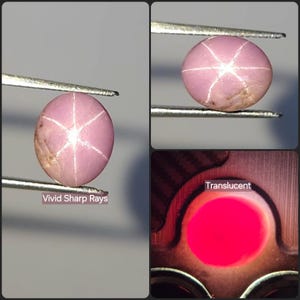 Könnte beinhalten: Ein rosafarbener Sternsaphir im Cabochon-Schliff mit einem sechsstrahligen Asterismus-Effekt. Der Edelstein wird von einer Metallpinzette gehalten und zeigt lebhafte, scharfe Strahlen. Eine weitere Ansicht zeigt den Stein von hinten beleuchtet.