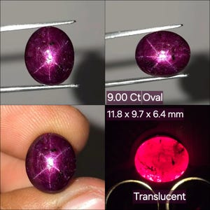 May include: A deep magenta oval star ruby gemstone featuring a six-rayed star effect. The stone is labelled as 9.00 Ct, measuring 11.8 x 9.7 x 6.4 mm, and is translucent when backlit. The gem displays natural inclusions and a polished cabochon surface.