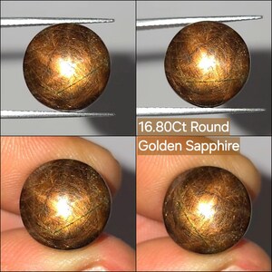 Könnte beinhalten: Ein runder, goldener Saphir-Edelstein im Cabochon-Schliff mit sichtbarem Sterneffekt und inneren Einschlüssen. Der Stein ist als 16.80Ct Round Golden Sapphire beschriftet. Er wird von einer Metallpinzette und zwischen Fingern gehalten.