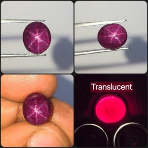 Könnte beinhalten: Ein tief magentafarbener Sternrubin-Edelstein im Cabochon-Schliff, der einen ausgeprägten sechsstrahligen Asterismus-Effekt zeigt. Der Stein wird mit einer Metallpinzette gehalten und von hinten beleuchtet, um seine Transparenz mit dem Text Translucent zu zeigen.