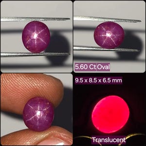 Natürlicher Durchscheinender Stern Rubin Cabochon 5,60 Ct Unbehandeltes Rot Oval Loser Edelstein