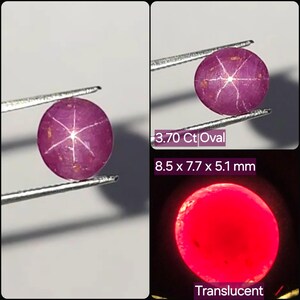Pode incluir: Uma pedra preciosa de rubi estrela magenta profundo com um efeito de estrela de seis raios visível, segurada por pinças de metal. A pedra está rotulada como 3,70 Ct oval, mede 8,5 x 7,7 x 5,1 mm e parece translúcida sob luz vermelha.