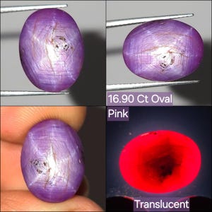 Natural  Star Ruby Cabochon Translucent 16.90 Ct Pink oval Untreated Loose Gemstone