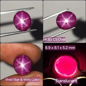 May include: A 4.80 carat oval star ruby gemstone measuring 8.9 x 8.1 x 5.2 mm. The deep pinkish-red stone displays a vivid six-rayed star effect under light and appears translucent when backlit. The gem is shown held by metal tweezers.