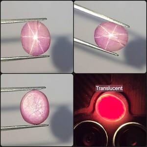 Pode incluir: Uma gema de safira estrela rosa em corte cabochão segurada por pinças de metal, exibindo um asterismo de seis raios em sua superfície. O painel inferior direito mostra a pedra retroiluminada com luz vermelha brilhante e o texto Translucent.