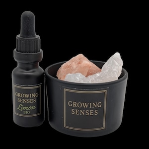 Growing Senses Raumduft-Set – Bio Zitronenöl & Salzsteinemischung im Glas – Edler Duft-Diffusor als Lufterfrischer