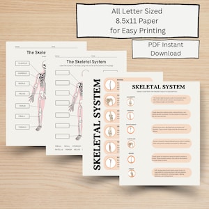 Skelettsystem Lernleitfaden, Anatomie Markierungsübung, Einheit des menschlichen Körpers (PDF-Download)