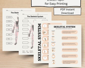 Skeletal System Study Guide, Anatomy Labeling Activity, Human Body Unit (PDF Download)