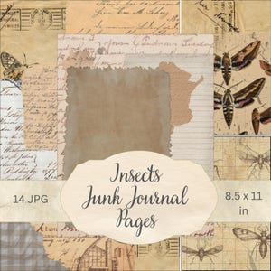 Może przedstawiać: Kolaż papieru w stylu vintage z ilustracjami owadów i ręcznie pisanym tekstem. Tekst "Insects Junk Journal Pages" jest wyświetlany na kremowym banerze. Strony mają wymiary 21,59 x 27,94 cm.