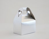 mini gable box- metallic silver (10 boxes)