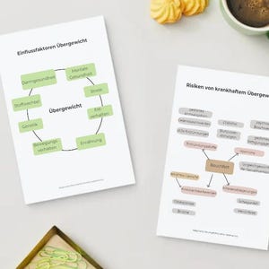 Puede incluir: Dos documentos en blanco con texto y diagramas en alem&aacute;n sobre salud y peso. Uno muestra un diagrama circular de los factores que influyen en el peso, y el otro muestra los riesgos del peso poco saludable. Una taza de caf&eacute; y galletas est&aacute;n en el fondo.