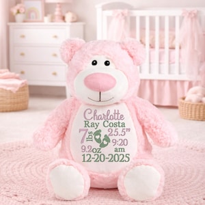 May include: A plush pink teddy bear with a white belly patch featuring embroidered text: Charlotte Ray Costa, 7 lbs 9.2 oz, 25.5 inches, 9:20 am, and 12-20-2025. The bear has a white muzzle, a pink nose, and two small green footprint icons.