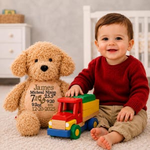 May include: A tan plush dog toy with curly fur featuring embroidered text that reads James Micheal Nixon, 7 lbs 9.2 oz, 25.5 inches, 9:20 am, and 12-20-2025, positioned next to a multi-colored wooden toy truck with red, yellow, green, and blue blocks.