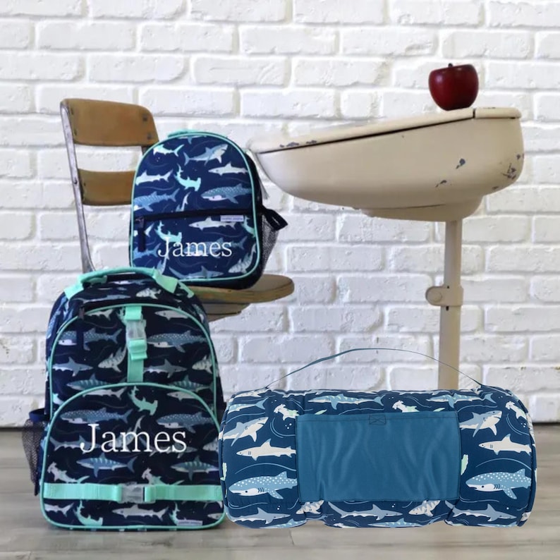 Boys shark Backpack set