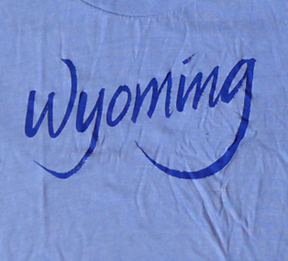 Vintage 80s Wyoming Cropped Top Half Shirt Light B