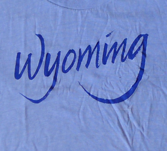 Vintage 80s Wyoming Cropped Top Half Shirt Light … - image 1