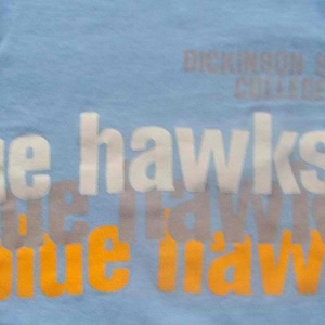 Vintage 80s DICKINSON State College BLUE HAWKS Tshirt