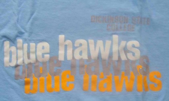 Vintage 80s DICKINSON State College BLUE HAWKS Ts… - image 1