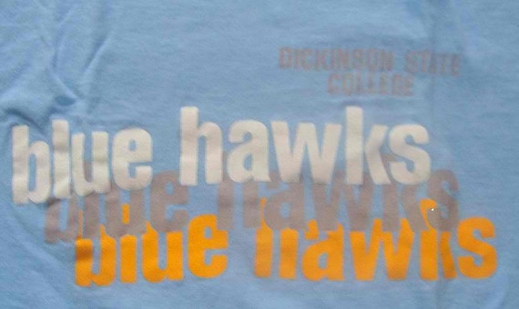 Vintage 80s DICKINSON State College BLUE HAWKS Tsh