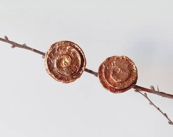 Op de afbeelding: Een paar koperen oorbellen met een spiraalvormig ontwerp. De oorbellen hangen aan een twijg.