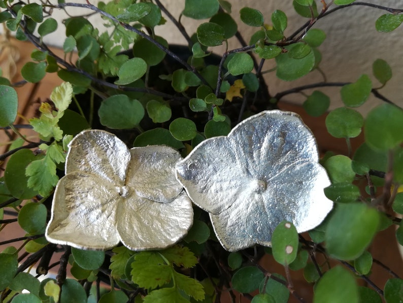real flowers dried for romantic gift Silver hydrangea earrings