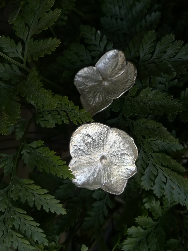 real flowers dried for romantic gift Silver hydrangea earrings