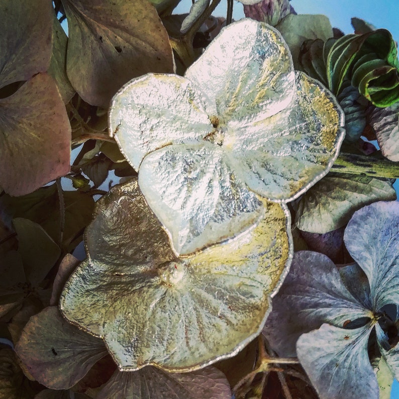 real flowers dried for romantic gift Silver hydrangea earrings