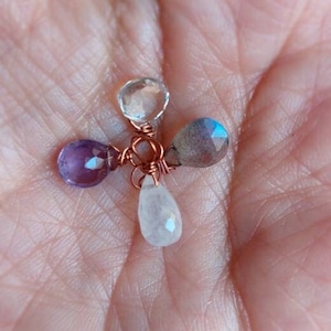 Collana botanica, una vera foglia di ginkgo biloba con piccole gemme a scelta, labradorite, pietra di luna arcobaleno, prasiolite, ametista. image 2