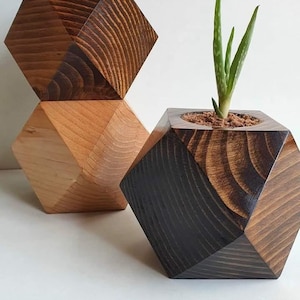 Puede incluir: Jardineras geométricas de madera en varios tonos de marrón. Una jardinera contiene una pequeña planta de aloe vera. Las jardineras son multifacéticas y tienen un diseño moderno y minimalista. La veta de la madera es visible, agregando textura.