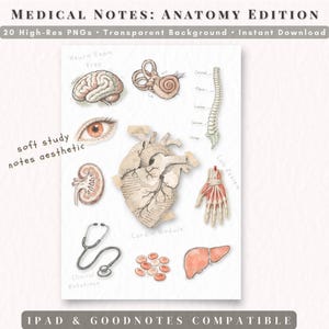 Może przedstawiać: Cyfrowy wydruk zatytułowany "MEDICAL NOTES: ANATOMY EDITION" z akwarelowymi ilustracjami anatomii człowieka. Obraz zawiera oznaczone schematy mózgu, oka, serca, nerki i innych narządów. Tekst zawiera "20 PNG wysokiej rozdzielczości", "Przezroczyste tło" i "Natychmiastowe pobieranie".
