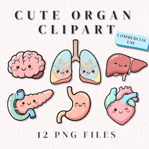 Könnte beinhalten: Eine Sammlung von niedlichen Cartoon-Organ-Clipart, darunter ein Gehirn, Lunge, Leber, Bauchspeicheldrüse, Magen und Herz. Der Text "CUTE ORGAN CLIPART" steht oben, und "12 PNG FILES" steht unten. Ein blaues Etikett sagt "COMMERCIAL USE".