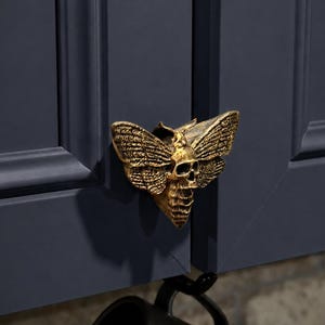May include: A gold-colored cabinet knob shaped like a moth with a skull pattern on its thorax, mounted on a dark blue cabinet door. Below the knob, a black mug hangs from a small black metal hook attached to the cabinet frame.