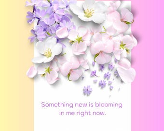 The Amaelle Weekly Affirmation Cards