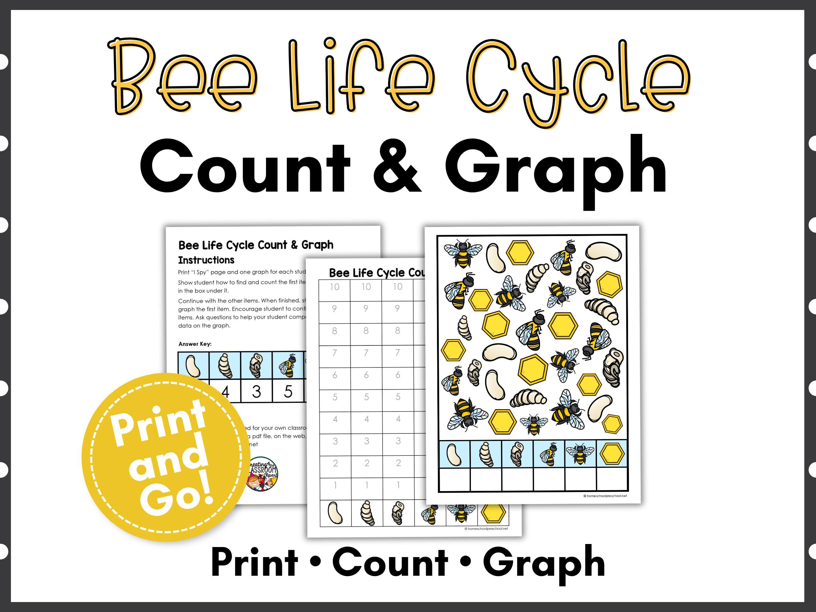 Bee Learning Game Count & Graph | Bee Life Cycle Math Printable | Bee ...