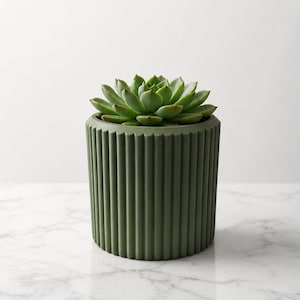 Peut inclure: Une plante succulente verte dans un pot en céramique vert olive à rainures. La plante a de nombreuses feuilles vertes avec des pointes rougeâtres. Le pot est cylindrique et repose sur une surface en marbre blanc. L'esthétique est moderne et minimaliste.