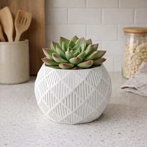 Modern Geometric Embossed Indoor Planter | 3, 4 and 5 Inch Plant Pot | Contemporary Home Decor | Small Cactus Pot | Gift for Plant Lovers