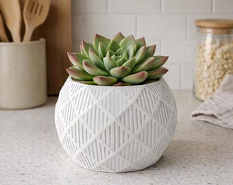 Modern Geometric Embossed Indoor Planter | 3, 4 and 5 Inch Plant Pot | Contemporary Home Decor | Small Cactus Pot | Gift for Plant Lovers