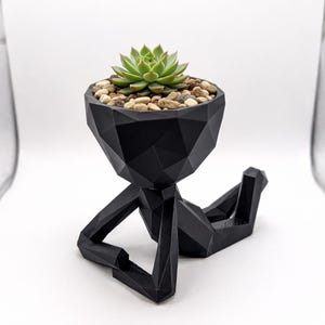 Peut inclure: Pot géométrique noir en forme de personne, contenant une plante succulente. Le pot a un design à facettes et est rempli de petites pierres. La plante succulente a des feuilles vertes.