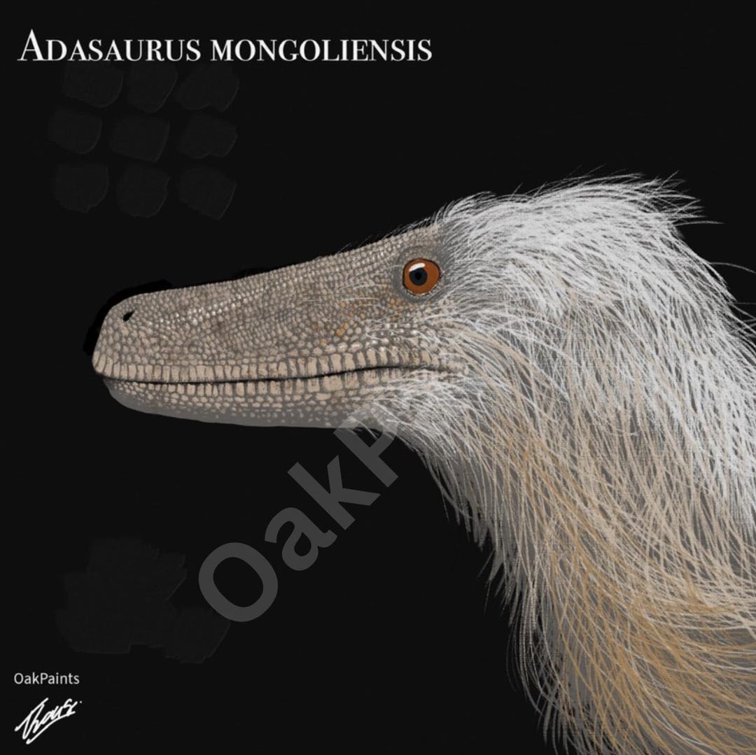 Adasaurus Mongoliensis – Feathered Dinosaur Printable Wall Art ...