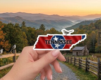 Tennessee State Sticker - Mockingbird & State Flag Decal