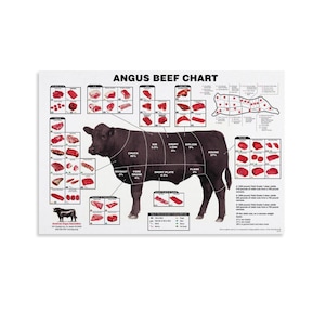 Angus Beef Chart Meat Cuts Diagram Wall Art Poster Picture Print Living ...