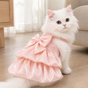 May include: A fluffy white cat wearing a light pink sleeveless dress. The dress features a large satin bow at the back, a fitted bodice, and a two-tiered ruffled skirt with a shiny finish. The garment is secured with straps over the shoulders.