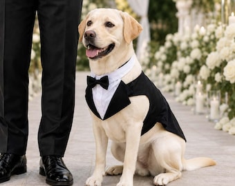 Traje de boda para perros grandes con anilla en D, esmoquin para perros, atuendo para perros portadores de anillos, ropa formal para perros, ropa de boda para perros