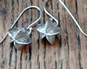 Silver seedpod earrings, Pearlbush seedpod earrings