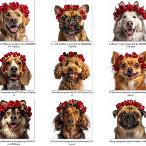 Könnte beinhalten: Neun verschiedene Hunderassen, darunter Labrador, Französische Bulldogge, Siberian Husky, Beagle, Pudel, Chihuahua, Alaskan Malamute, Dackel und Mops, jeweils mit einem roten Rosen- und Herz-Kranz. Die Hunde lächeln und zeigen ihre Zungen.