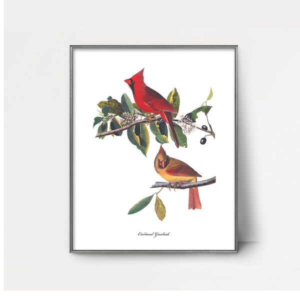Cardinal Print - Etsy