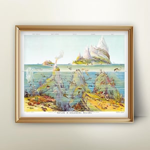 Gráfico científico oceánico imprimible: ilustración vintage, arte de las ciencias de la tierra